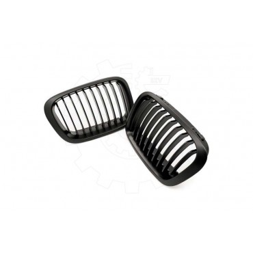 2 Grilles de Radiateur Pour BMW Série 3 E46 51138208490