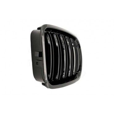 2 Grilles de Radiateur Pour BMW Série 3 E46 51138208490