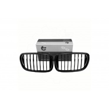 2 Grilles de Radiateur Pour BMW Série 3 E46 51138208487