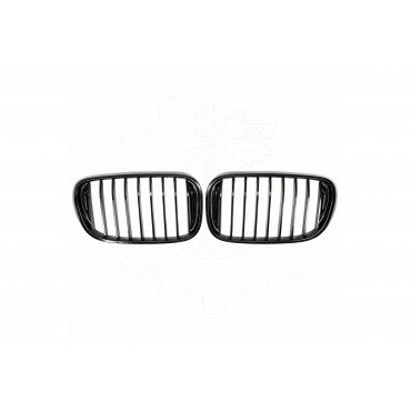 2 Grilles de Radiateur Pour BMW Série 3 E46 51138208487