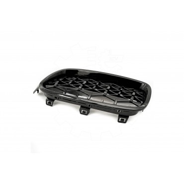 2 Grilles de Radiateur Pour BMW Série 3 F30, F80 F31 51137255411