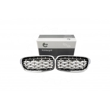 2 Grilles de Radiateur Pour BMW Série 3 F30, F80 F31 51137255411