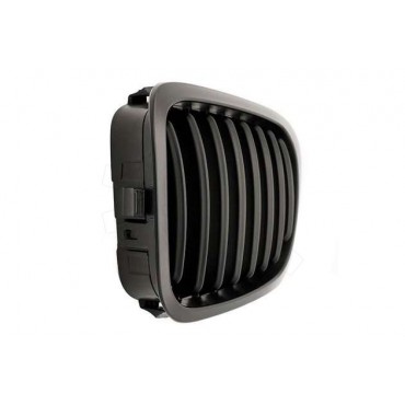 2 Grilles de Radiateur Pour BMW Série 3 E46 51138208683