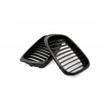 2 Grilles de Radiateur Pour BMW Série 5 E39 51132497261 51138184531