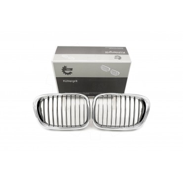 2 Grilles de Radiateur Pour BMW Série 5 E39 51132497261 51138184531