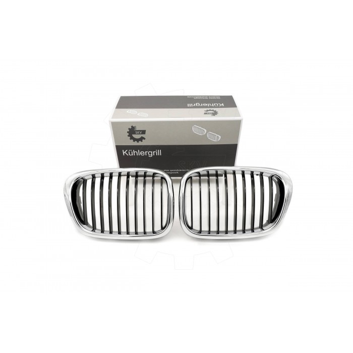 2 Grilles de Radiateur Pour BMW Série 5 E39 51132497261 51138184531