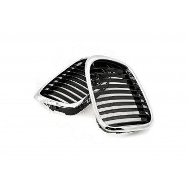 2 Grilles de Radiateur Pour BMW Série 5 E39 51132497261 51138184531