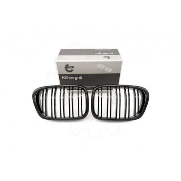 2 Grilles de Radiateur Pour BMW Série 5 E39 51132497261 51138184531