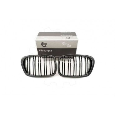 2 Grilles de Radiateur Pour BMW Série 5 E39 51132497261 51138184531