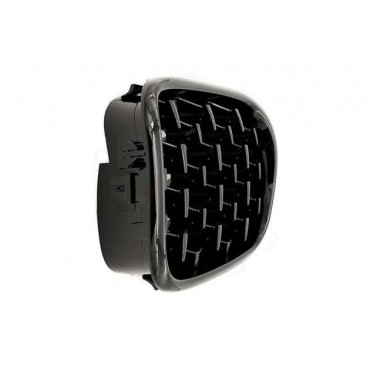 2 Grilles de Radiateur Pour BMW Série 5 E39 51132497261 51138184531