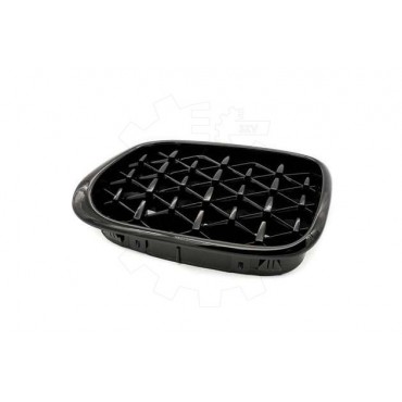 2 Grilles de Radiateur Pour BMW Série 5 E39 51132497261 51138184531