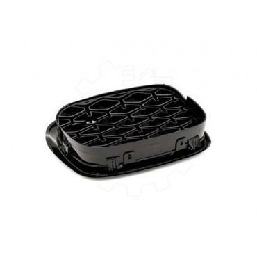 2 Grilles de Radiateur Pour BMW Série 5 E39 51132497261 51138184531