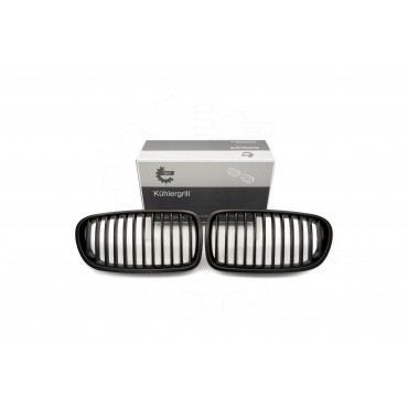 2 Grilles de Radiateur Pour BMW Série 5 F10 F11 51137261356