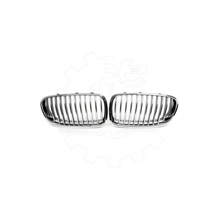 2 Grilles de Radiateur Pour BMW Série 5 F10 F11 51137261356
