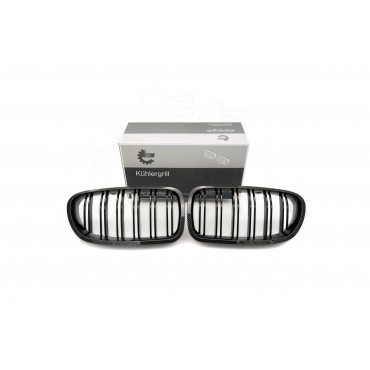 2 Grilles de Radiateur Pour BMW Série 5 F10 F11 51137261356