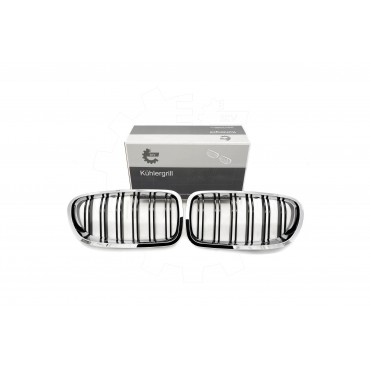 2 Grilles de Radiateur Pour BMW Série 5 F10 F11 51137261356