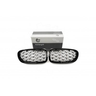 2 Grilles de Radiateur Pour BMW Série 5 F10 F11 51137261356
