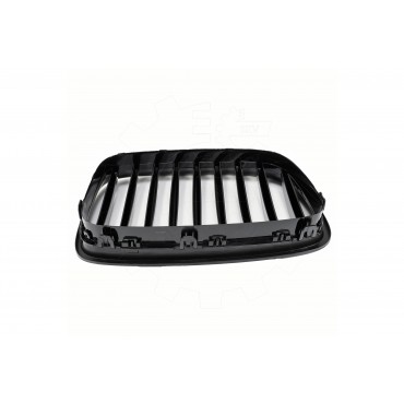 Grille de Radiateur Pour BMW Série 5 F07 51137200169 51137336486 51137340317