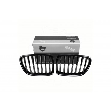 2 Grilles de Radiateur Pour BMW X1 E84 51112993305 51112993306 51112993307