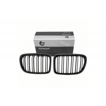 2 Grilles de Radiateur Pour BMW X1 E84 51112993305 51112993306 51112993307