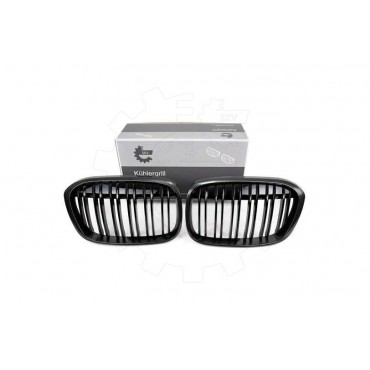 2 Grilles de Radiateur Pour BMW X1 F48 51117383364