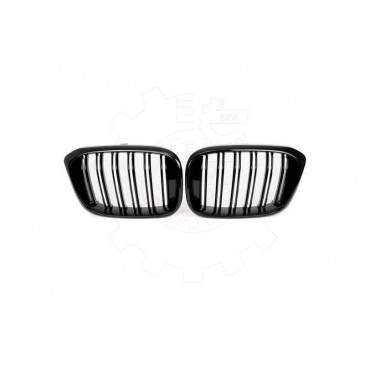 2 Grilles de Radiateur Pour BMW X3 F97, G01, G08 G01 X4 F98, G02 51138091725