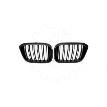 2 Grilles de Radiateur Pour BMW X3 F97, G01, G08 G01 X4 F98, G02 51138091725