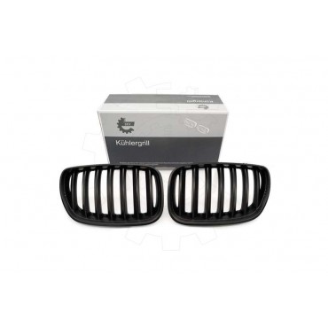 2 Grilles de Radiateur Pour BMW X5 E53 51137124815 51138250051