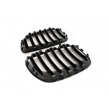2 Grilles de Radiateur Pour BMW X5 E53 51137124815 51138250051
