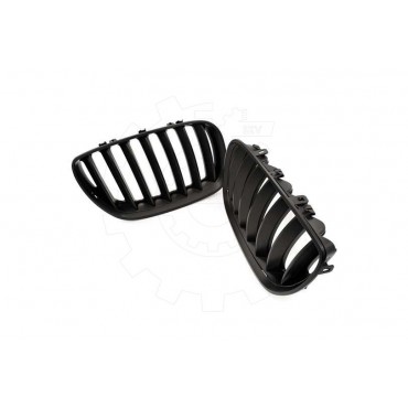 2 Grilles de Radiateur Pour BMW X5 E53 51137124815 51138250051