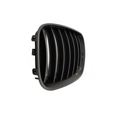 2 Grilles de Radiateur Pour BMW X5 E53 51137124815 51138250051