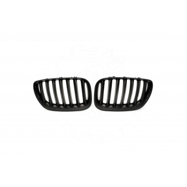 2 Grilles de Radiateur Pour BMW X5 E53 51137124815 51138250051