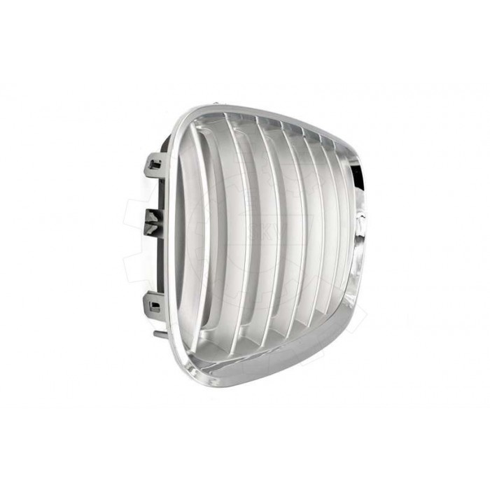 2 Grilles de Radiateur Pour BMW X5 E53 51137124815 51138250051