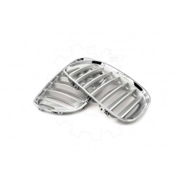 2 Grilles de Radiateur Pour BMW X5 E53 51137124815 51138250051