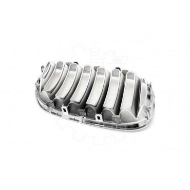 2 Grilles de Radiateur Pour BMW X5 E53 51137124815 51138250051