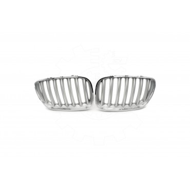 2 Grilles de Radiateur Pour BMW X5 E53 51137124815 51138250051