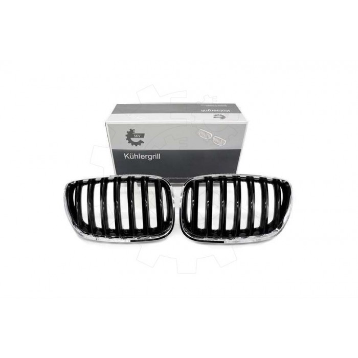 2 Grilles de Radiateur Pour BMW X5 E53 51137124815 51138250051