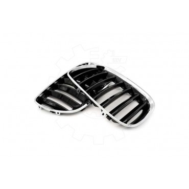 2 Grilles de Radiateur Pour BMW X5 E53 51137124815 51138250051