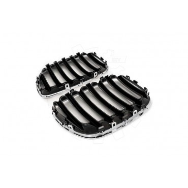 2 Grilles de Radiateur Pour BMW X5 E53 51137124815 51138250051