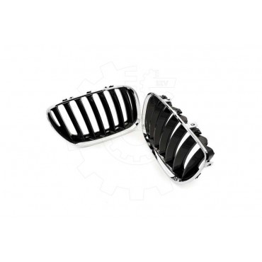 2 Grilles de Radiateur Pour BMW X5 E53 51137124815 51138250051