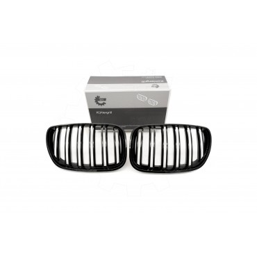 2 Grilles de Radiateur Pour BMW X5 E53 51137124815 51138250051