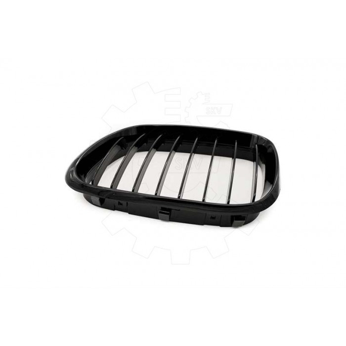 2 Grilles de Radiateur Pour BMW X5 E53 51137113733 51138402645