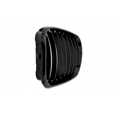 2 Grilles de Radiateur Pour BMW X5 E53 51137113733 51138402645