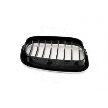 2 Grilles de Radiateur Pour BMW X5 E53 51137113733 51138402645