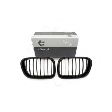 2 Grilles de Radiateur Pour BMW X5 E53 51137113733 51138402645