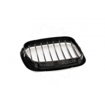 2 Grilles de Radiateur Pour BMW X5 E53 51137113733 51138402645