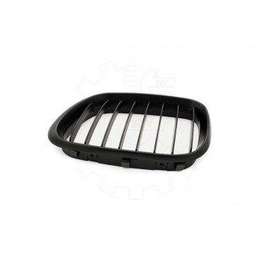 2 Grilles de Radiateur Pour BMW X5 E53 51137113733 51138402645