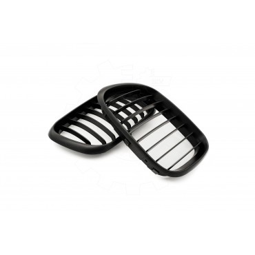 2 Grilles de Radiateur Pour BMW X5 E53 51137113733 51138402645