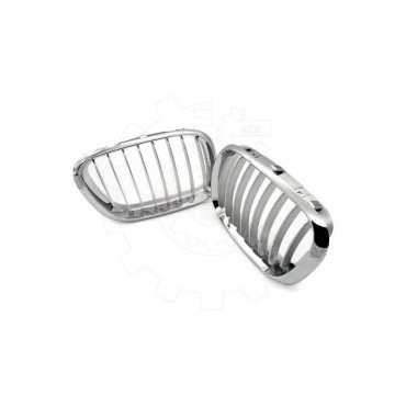 2 Grilles de Radiateur Pour BMW X5 E53 51137113733 51138402645