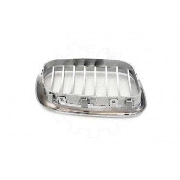 2 Grilles de Radiateur Pour BMW X5 E53 51137113733 51138402645